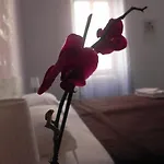 Vica Pota 4*