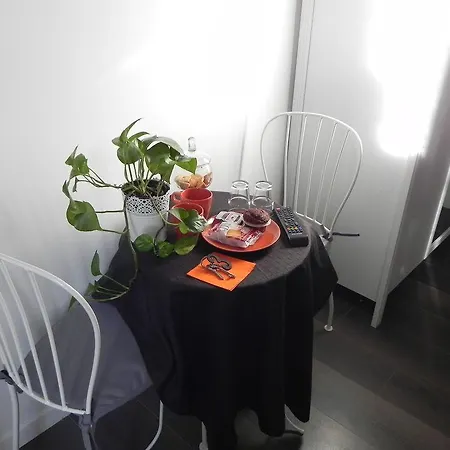 Pensionat Vica Pota *